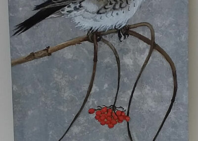 Kramsvogel